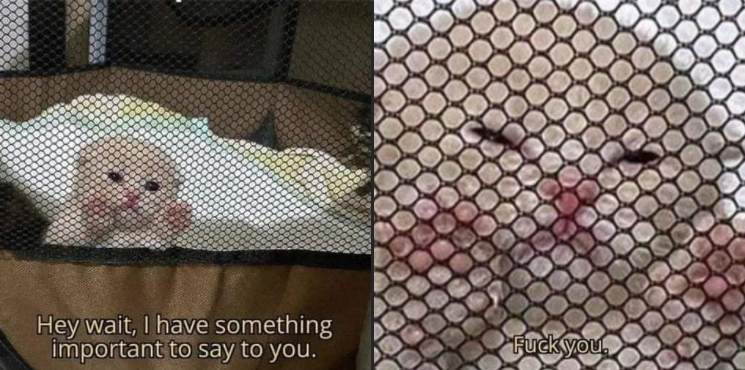 aqui pra vc <a href="/Flamengo/">Flamengo</a>