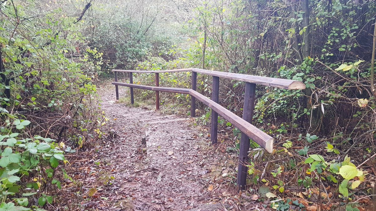 HenllysLNR's tweet photo. Replaced rotten posts and rails today with Andrew, Gareth, Brian and a bit from I. Thanks to funding from @HSBC_UK. Should last a lot longer this time #Octapost. https://t.co/fcakNWQhly