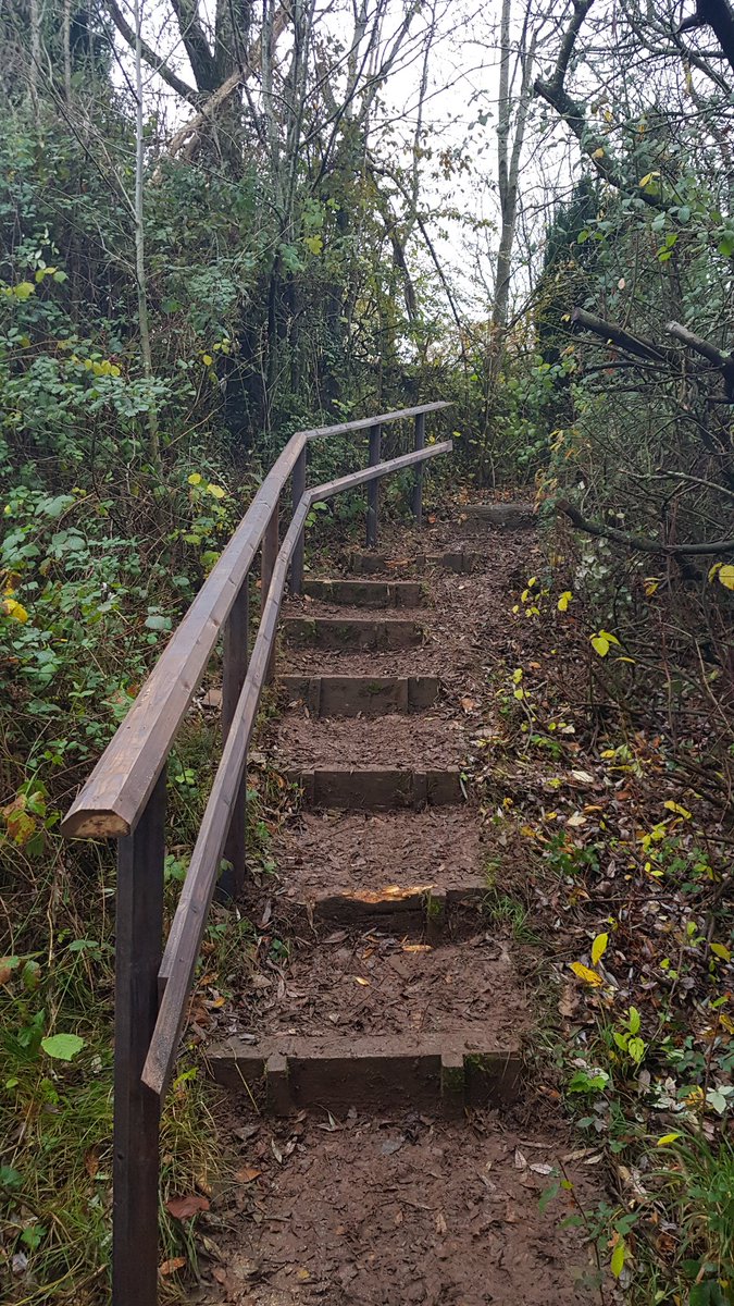 HenllysLNR's tweet photo. Replaced rotten posts and rails today with Andrew, Gareth, Brian and a bit from I. Thanks to funding from @HSBC_UK. Should last a lot longer this time #Octapost. https://t.co/fcakNWQhly