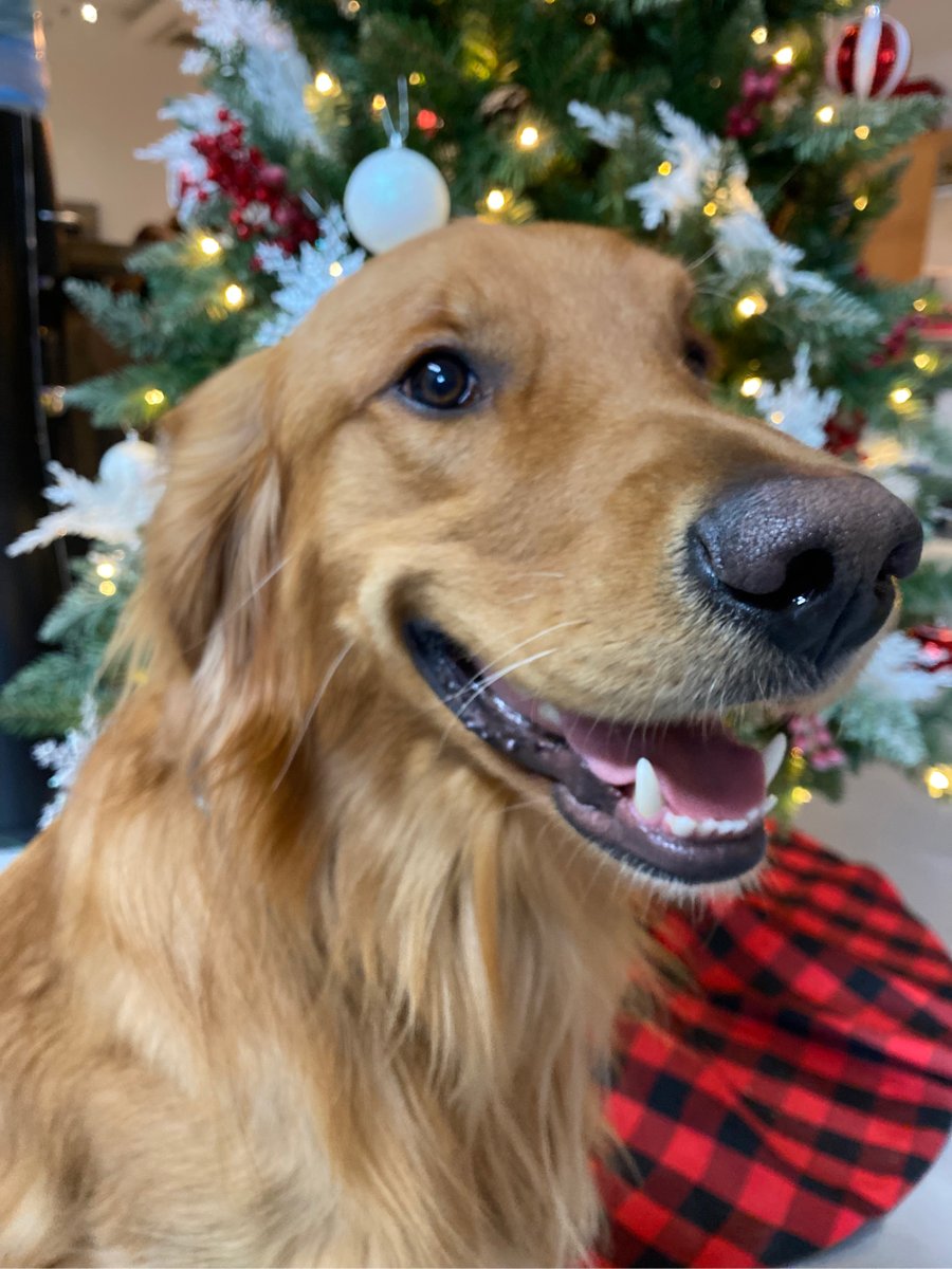 foodphotostudio.com tweet media