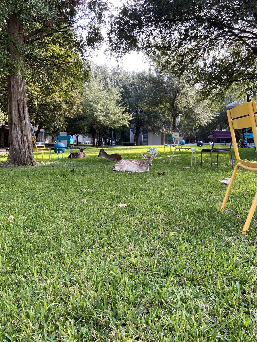SecDePatos's tweet photo. La Secretaria de Patos del Tec de Mty Campus Mty en colaboración con Cámara de Venados quiere reconocer el esfuerzo que haz metido. Tú. Si tú. Tú que llegaste a este punto. Tú que sobreviviste otro año de pandemia. Felicidades y ya casi terminas. Si puedes. Creemos en ti. https://t.co/050PlCj7mu