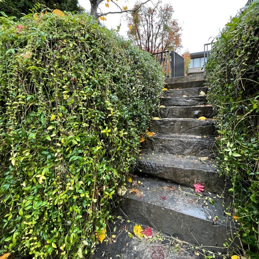 FlexMSE's tweet photo. This stairway allows homeowner access to a walking trail. The #FlexMSE walls on either side have completely disappeared and look amazing. The ability to naturalize this type of project is a win for the owners, for other trail users and for nature. Where else can you see Flex MSE? https://t.co/fEUA38QSum