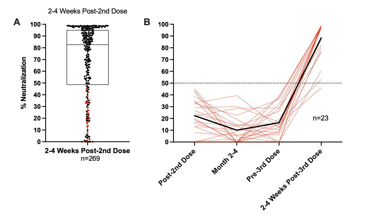 In a cohort of > 200 healthy people who got 2 doses of mRNA vaccines, 25% were poor responders for neutralizing antibodies (nAbs), but had an average 20-fold increase, potent nAb response to the 3rd dose
medrxiv.org/content/10.110…