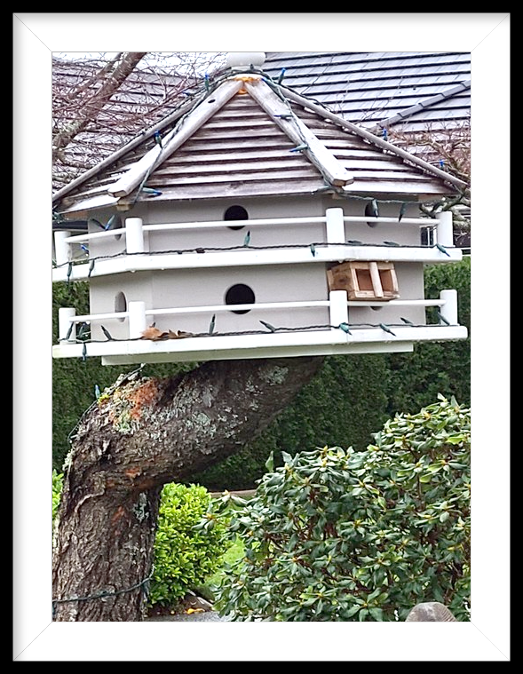 If you're wondering how our search for a new house is going...

We're seriously considering putting an offer in on this two-story home. 🤪