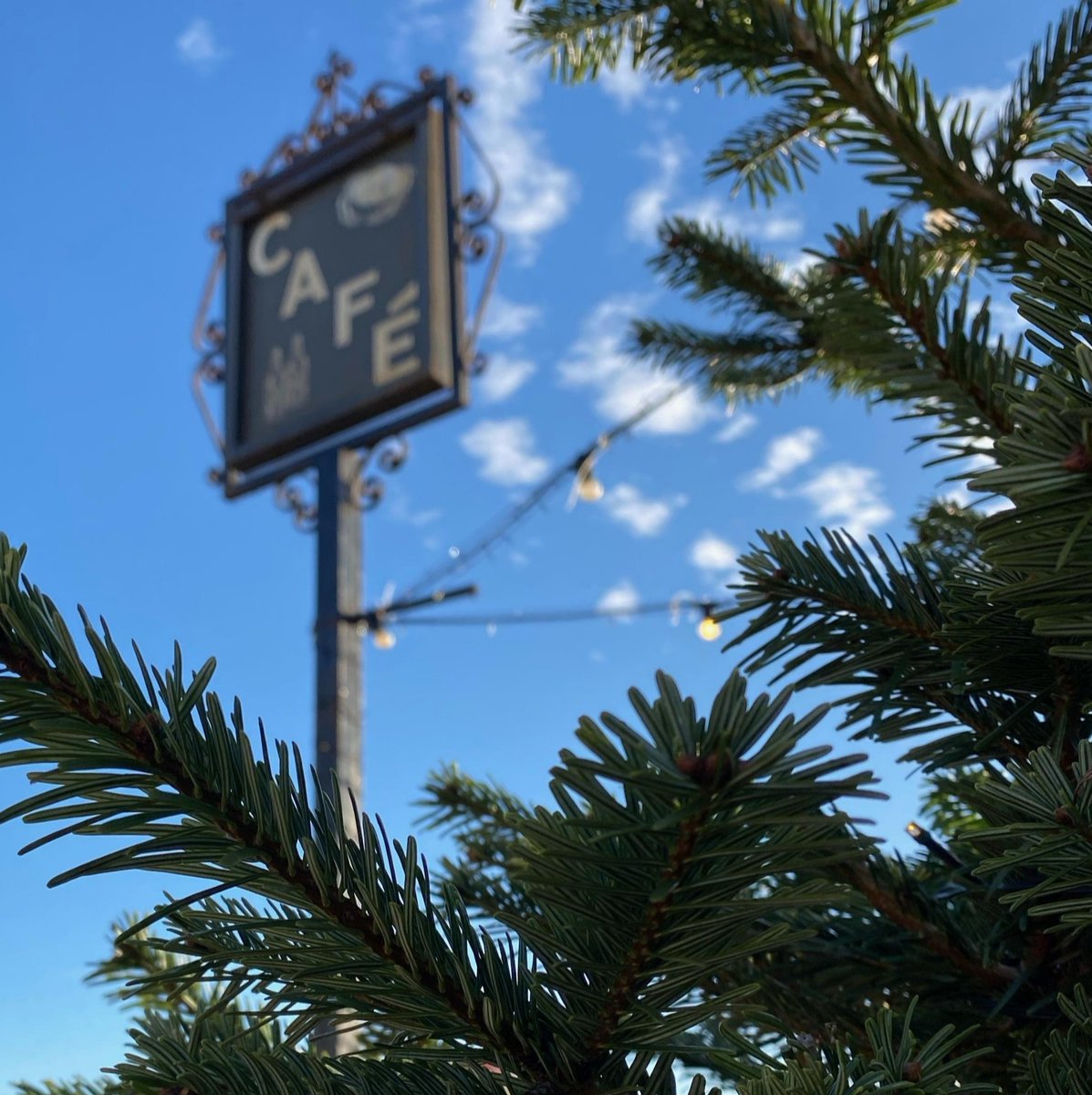 WatchHouseCafe's tweet image. Make Christmas 2021 one to remember. Pop down to the Watch House Café, on the 9th of December, for our Film on the Beach. 

Movie: Elf  
Book now to get your tickets. 
screenbites.co.uk
SSAANNTTAA
#Westbay #Christmas #ELf #Film #Family #Santa