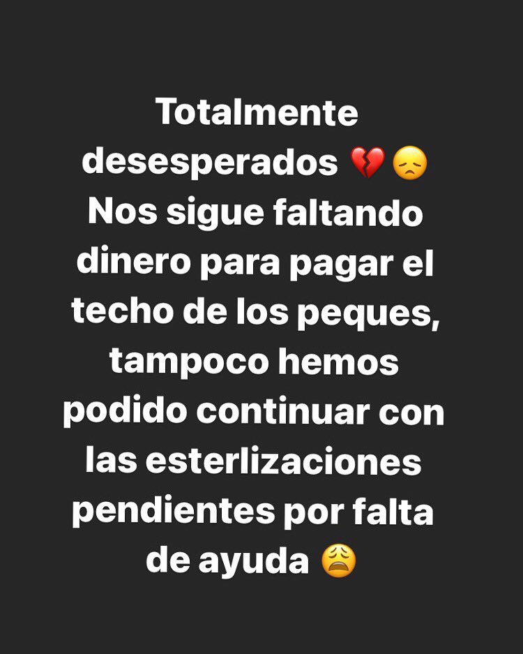 ayudemosapluto's tweet photo. β
December Pensions ($257 to go) π‘
β
Sterilizations (#BooAP #NieblaAP #GingerAP #BlancaAP) (Total $320)
All granite is adding, please do not leave us alone π€²π» #Venezuela #dogs #dogsoftwitter #charity #help #rt https://t.co/txwu8TLxe5