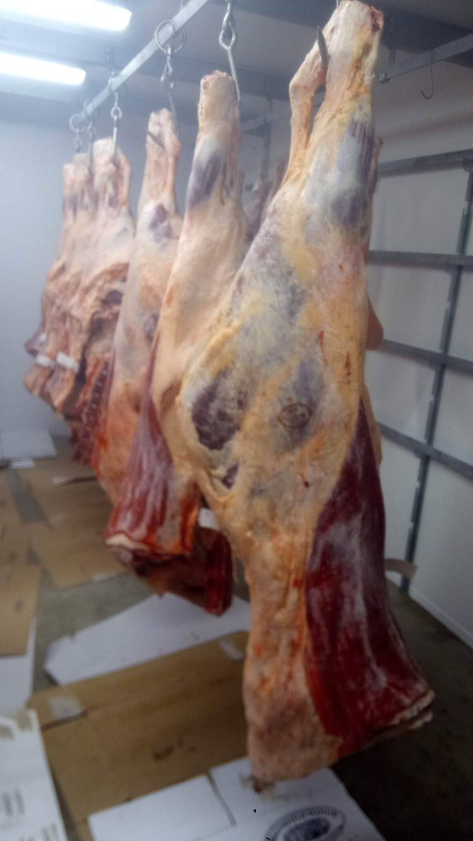 NoboroughLodge's tweet photo. Our fridge is full of beef for Christmas.
We are fairly unique in that we breed, rear, grow and finish our own native breed cattle.
#Fullytraceable
#Nativebreeds
#Hereford
#AberdeenAngus
#Beefshorthorn
#britishbeef
#sucklerbred
#shoplocal
#buybritish
#biteintobritish https://t.co/5mtWgSG1rI