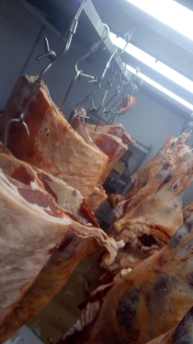 NoboroughLodge's tweet photo. Our fridge is full of beef for Christmas.
We are fairly unique in that we breed, rear, grow and finish our own native breed cattle.
#Fullytraceable
#Nativebreeds
#Hereford
#AberdeenAngus
#Beefshorthorn
#britishbeef
#sucklerbred
#shoplocal
#buybritish
#biteintobritish https://t.co/5mtWgSG1rI