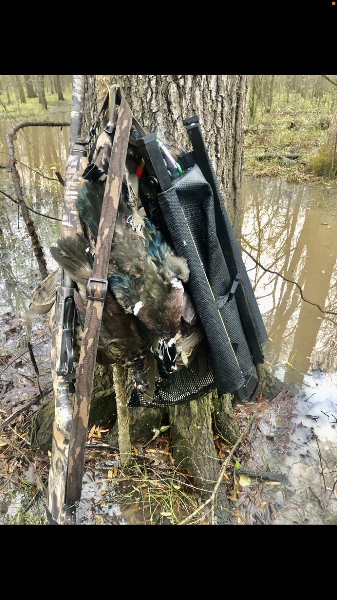 OutdoorsRixey's tweet photo. Packing a dog stand in and out of a good hole just got easier!
#duckhunting #hunting #dogstand #ducks #greenheads #lab #huntingdog #retriever #mallards #Cyprus #happyfriday #present #madeintheUSA #timberhunting #timberhunter #outdoors https://t.co/0rhQGxTu9N