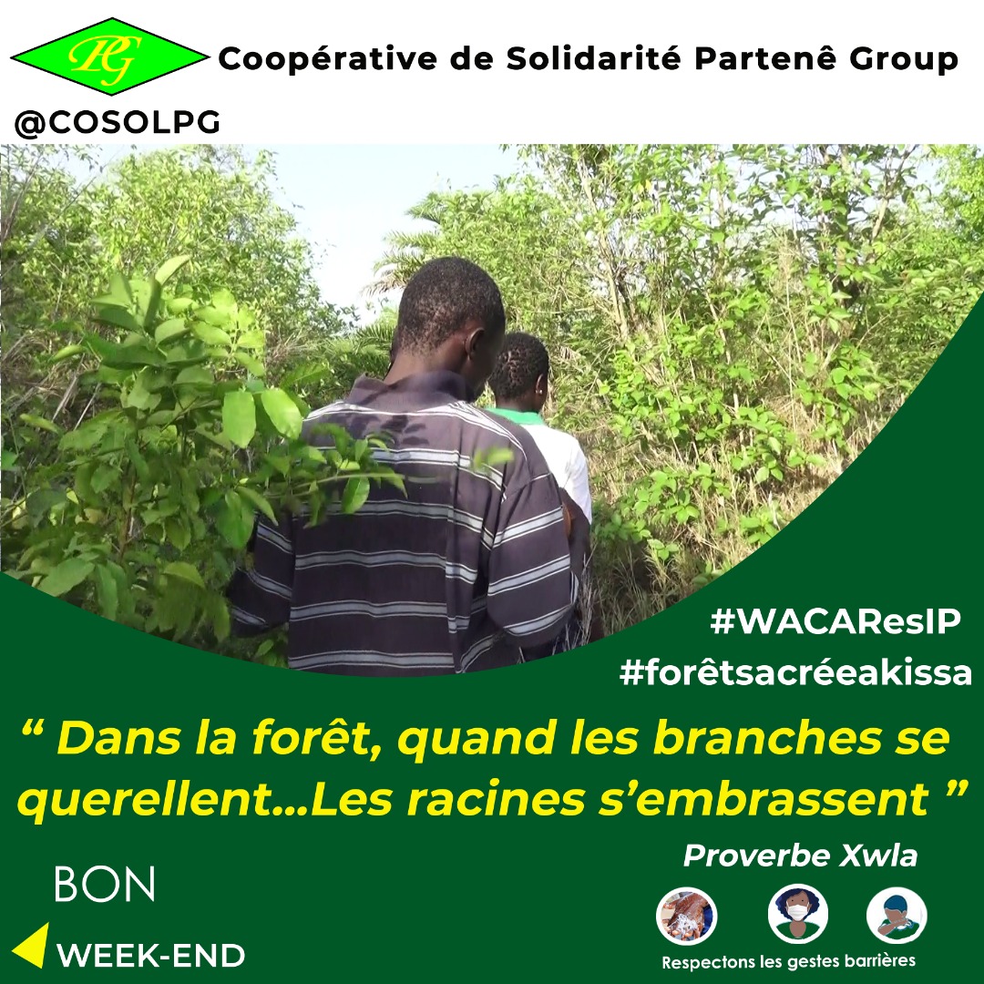 CosolPg's tweet photo. Bon début de weekend
#foret #COSOLPG #wacaresip #AKISSA #citation https://t.co/Qs0MDZaDQH