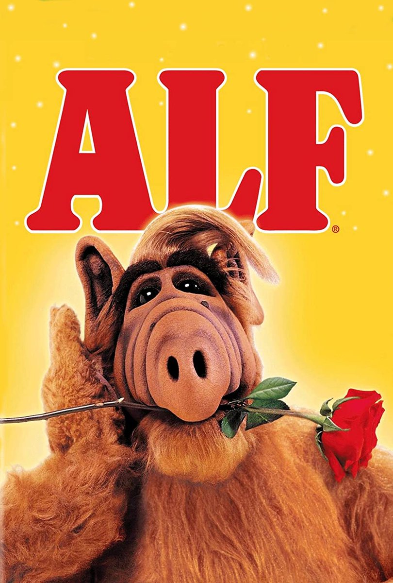 CorkhillDaily's tweet photo. Jimmy Cruisehill? Tom Corkcruise? 🤔

Anyone else see the ALF resemblence? 🤔 https://t.co/VmZFBplTSD