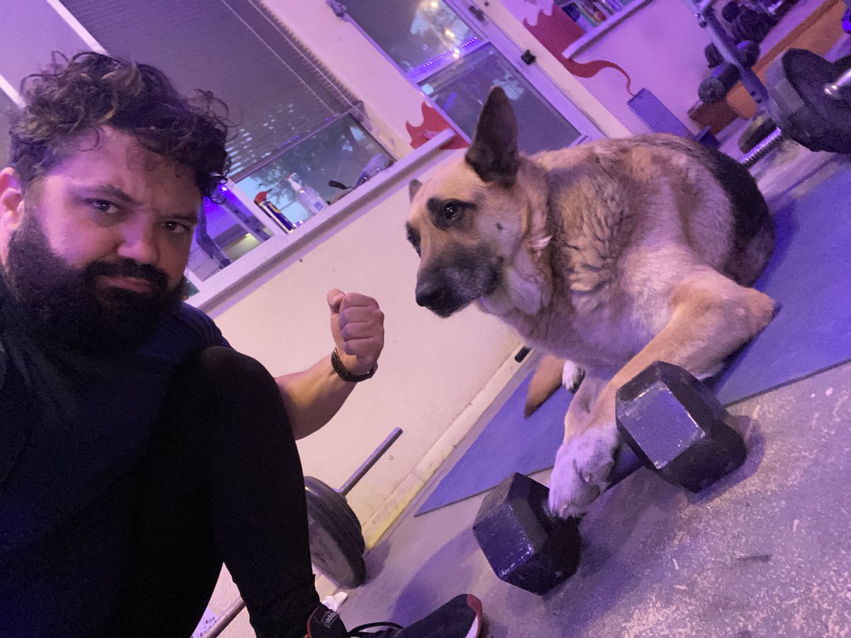 LucasHerndon's tweet photo. Roscoe is the best boy AND the best spotter a guy could ask for! He’s always reminding me that somewhere a fascist trained today and to get my ass up and in the gym.💪🏼
Who’s a good boy!? 😊 #BashFash #GSD #Swoletariat https://t.co/1xAusqlKsv