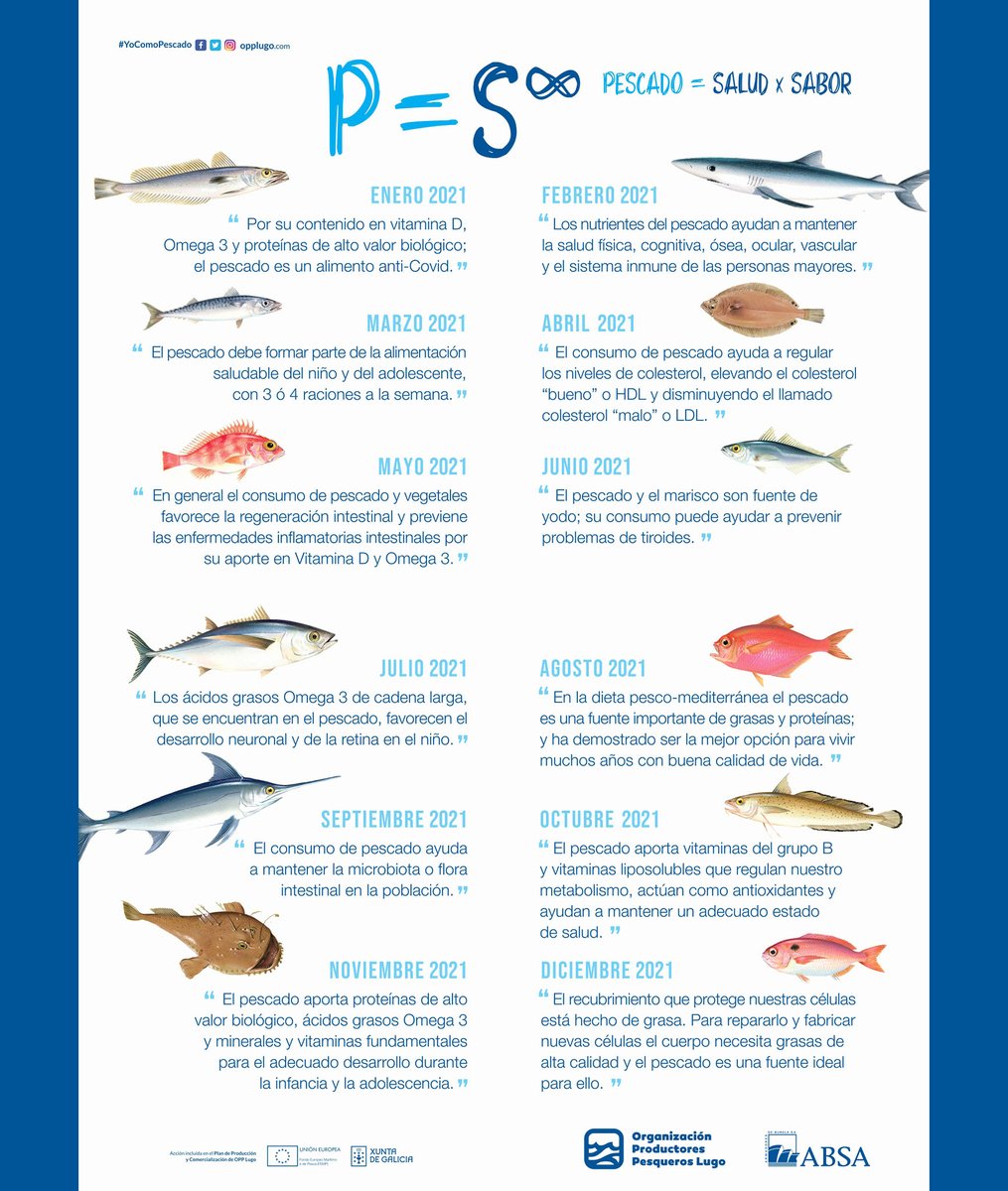 Hoy 3 de diciembre se celebra el "Día Internacional del Médico", buen día para hacer resumen de las frases saludables que forman parte de nuestro calendario 2021 y que hemos ido compartiendo a lo largo de estos meses: