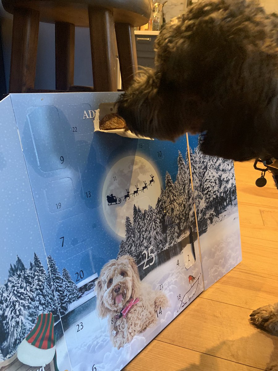 DConnellyNW's tweet photo. #adventcalendar #dogsofnewwest #yumm #goodboy https://t.co/C70A2wc7uw