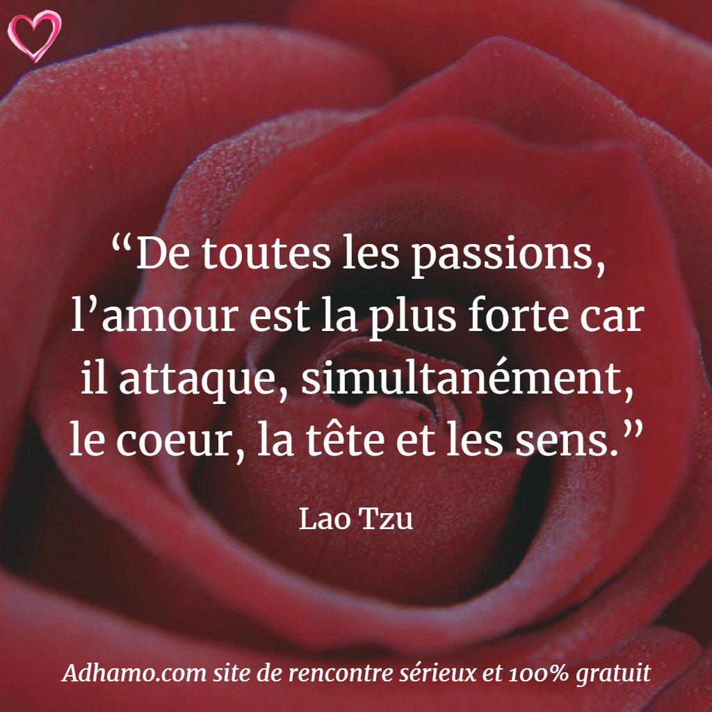 Adhamo15's tweet photo. La plus belle des passions!

#rencontres #célibataires #amour #couple #love #citation #inspiration #rencontre #célibataire #bonheur #passion #emotions #romantique #celib #ensemble #adhamo #declarationdamour #amoureux #motdamour https://t.co/VHdVKwQyyW