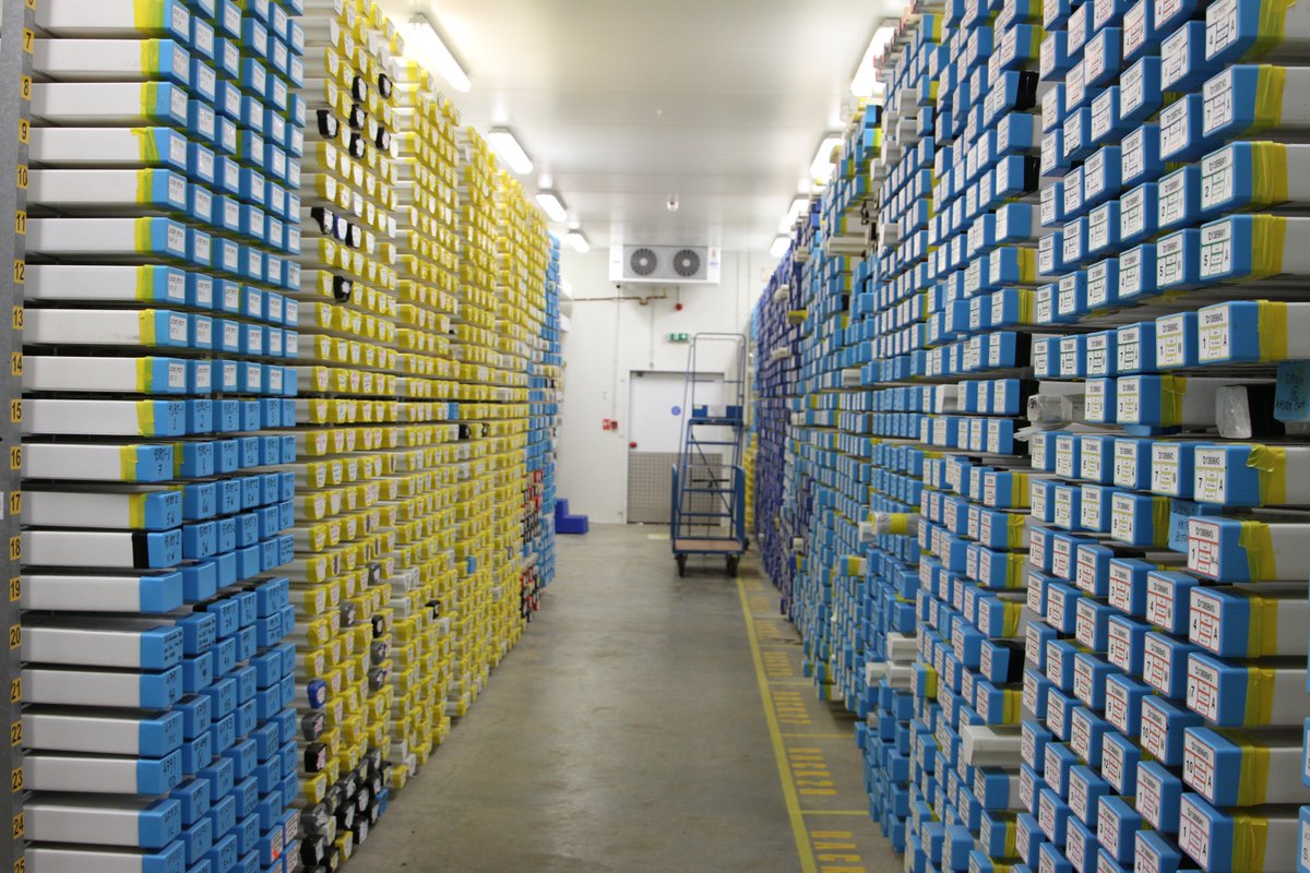 BOSCORF_NOC's tweet image. These views never get old. So much #science to be done! #ColdStore #1of4 #Shackleton