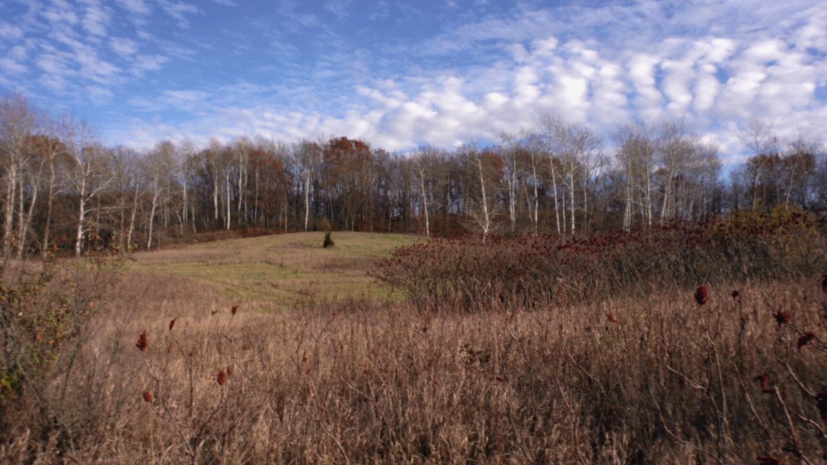 out_trail's tweet photo. From an unseasonably warm November day...
#FallHiking #HikingPhotos #Wisconsin #OutdoorWisconsin #LandscapePhotographs #KettleMoraine https://t.co/66xyDgwqkO