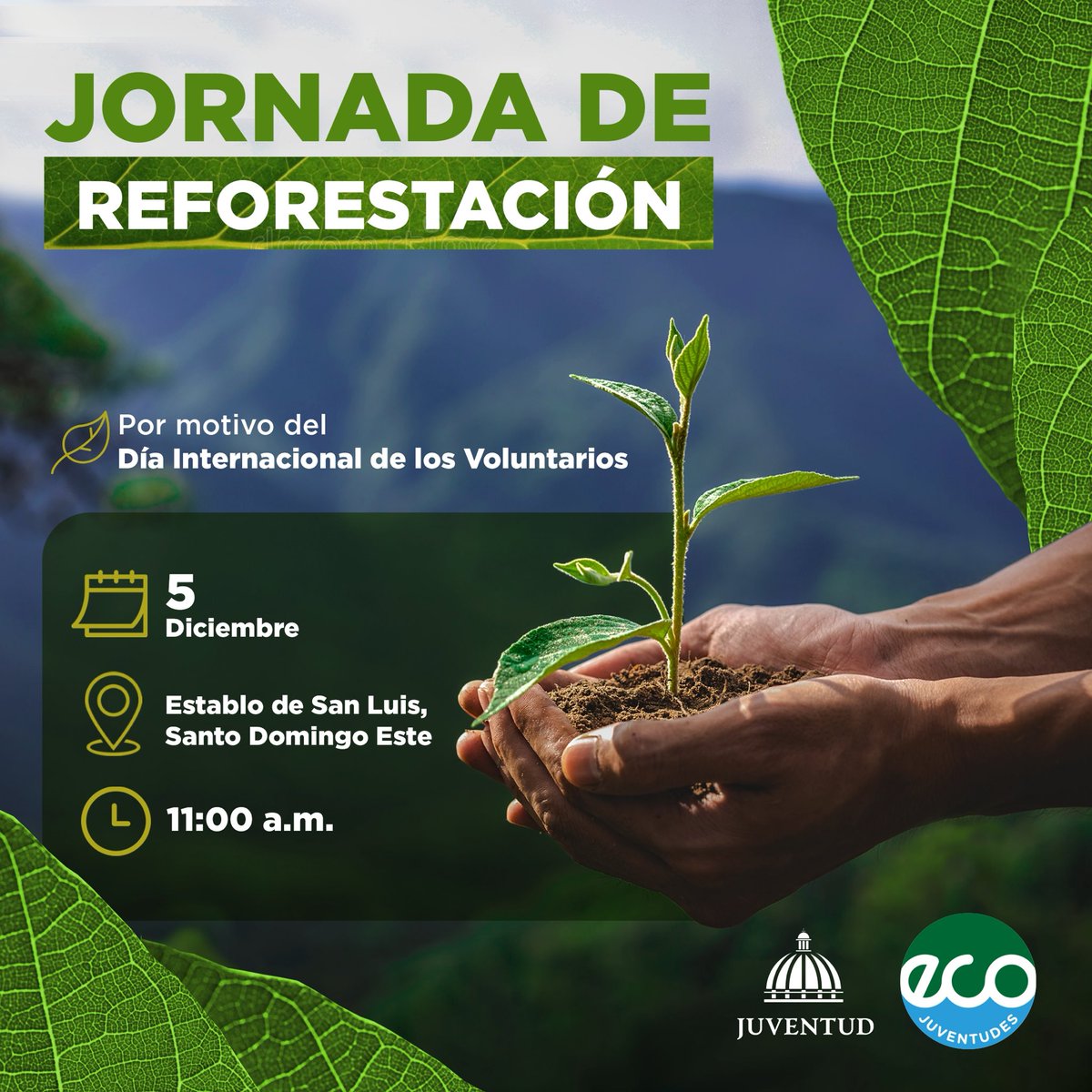 JuventudRD's tweet photo. Únete a nuestro grupo de jóvenes voluntarios #AgentesVerdes, en el marco de nuestro programa macro #EcoJuventudes, y siembra una planta 🌱.
#MinisteriodelaJuventud https://t.co/1vBO73kYf0
