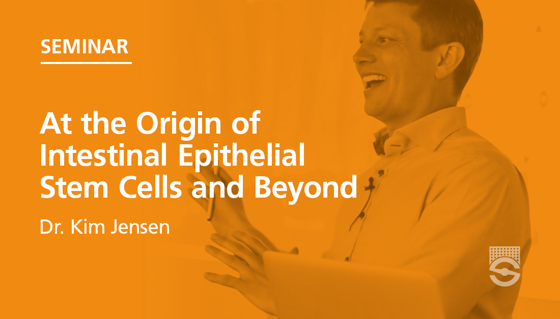 STEMCELL Technologies (@stemcelltech) on Twitter photo Dr. Kim Jensen (<a href="/JensenLab_UCPH/">Kim Jensen Lab</a>) discusses how his lab is using intestinal #organoids to probe the transition between fetal and adult cellular states, and how this contributes to understanding cell fate choices during regeneration and repair. 🛠️ Watch now! bit.ly/3CXGf2G Dr. Kim Jensen (<a href="/JensenLab_UCPH/">Kim Jensen Lab</a>) discusses how his lab is using intestinal #organoids to probe the transition between fetal and adult cellular states, and how this contributes to understanding cell fate choices during regeneration and repair. 🛠️ Watch now! bit.ly/3CXGf2G