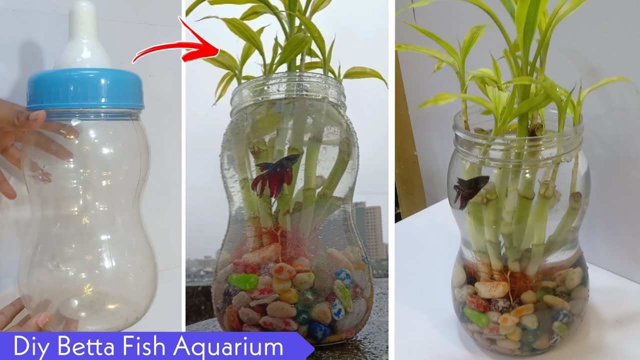 FlakeFood on X: Aquariums: How To Make Betta Fish Aquarium Diy