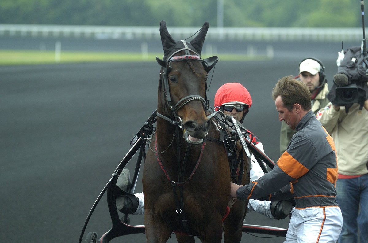 Trotteurs tweet media