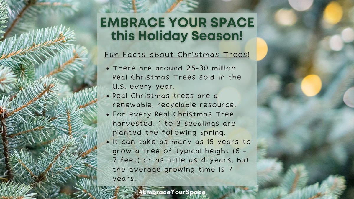 Did you know real Christmas trees were a great environmental choice for Christmas? Bonus, they make your home smell great, too! Check your local plant retail center to see what is available in your area. #Embraceyourspace #holidayplantlife #greenindustry