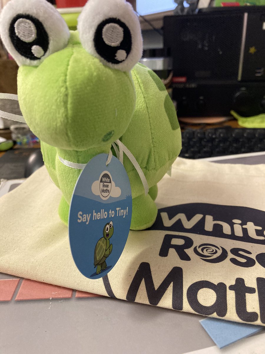 BWPMaths's tweet photo. When you’ve had a crazy week and then Tiny arrives to make it all better 🥰 ❤️ 🐢 Thank you @WhiteRoseMaths #lovetiny #Barvember2021 https://t.co/rkihHLsgBM