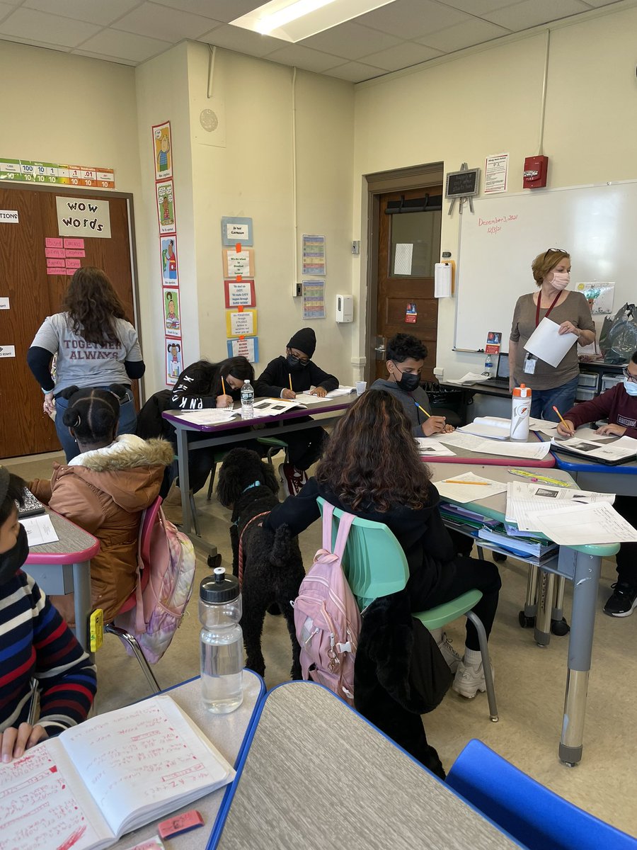 MrsDierking's tweet photo. 🐾 Testing, but not stressing in Room 209 📝 @OssiningSchools @nikkinover https://t.co/NU8nrKiDNM