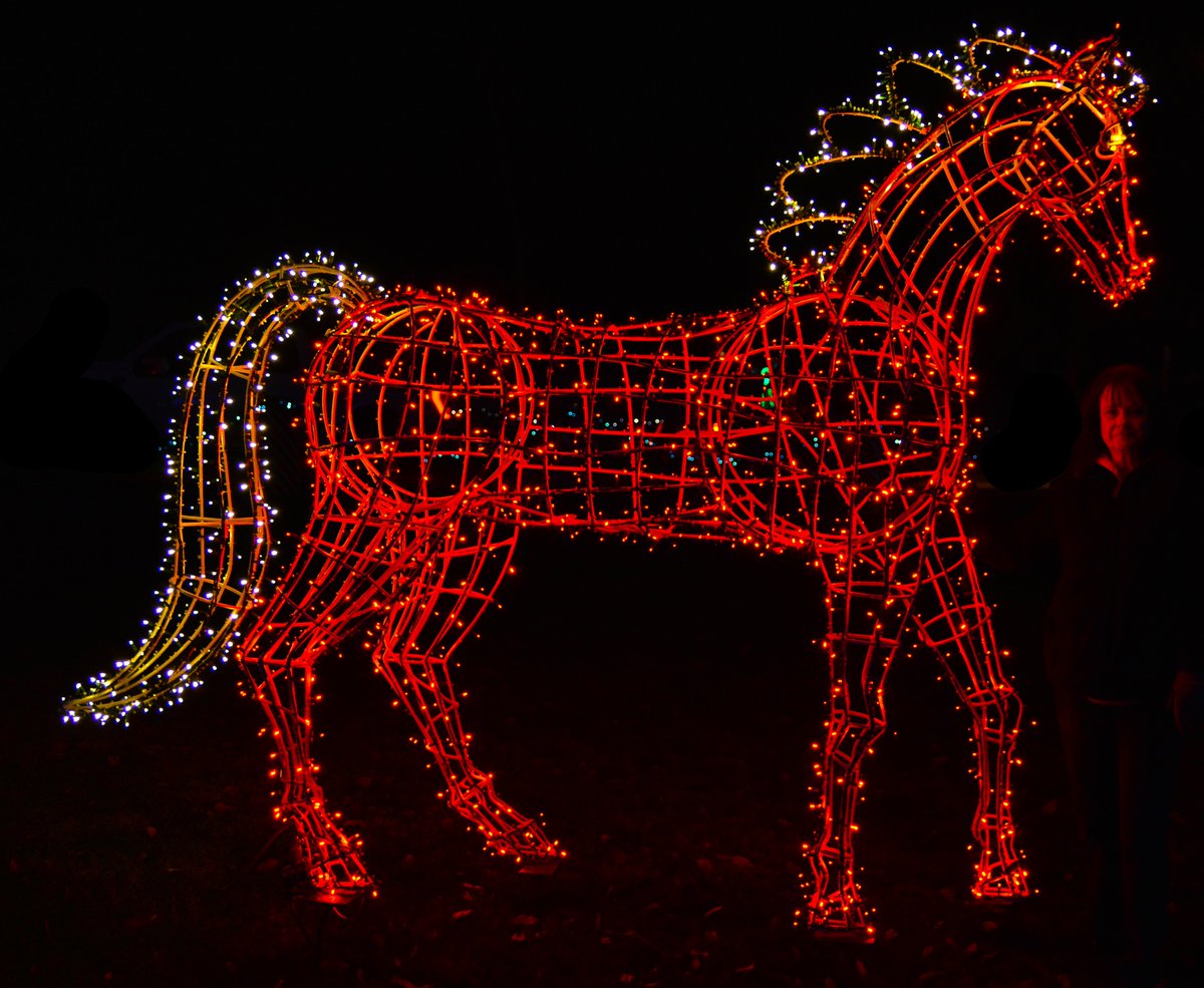 Artistwelder's tweet photo. This is a full size #horse that I made for #LaytonCity for the #holidays #HolidayLights #horselover #horses https://t.co/abCyznXhWg