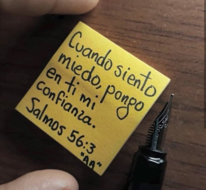 rincondefe's tweet photo. https://t.co/HlTjvm0rZq