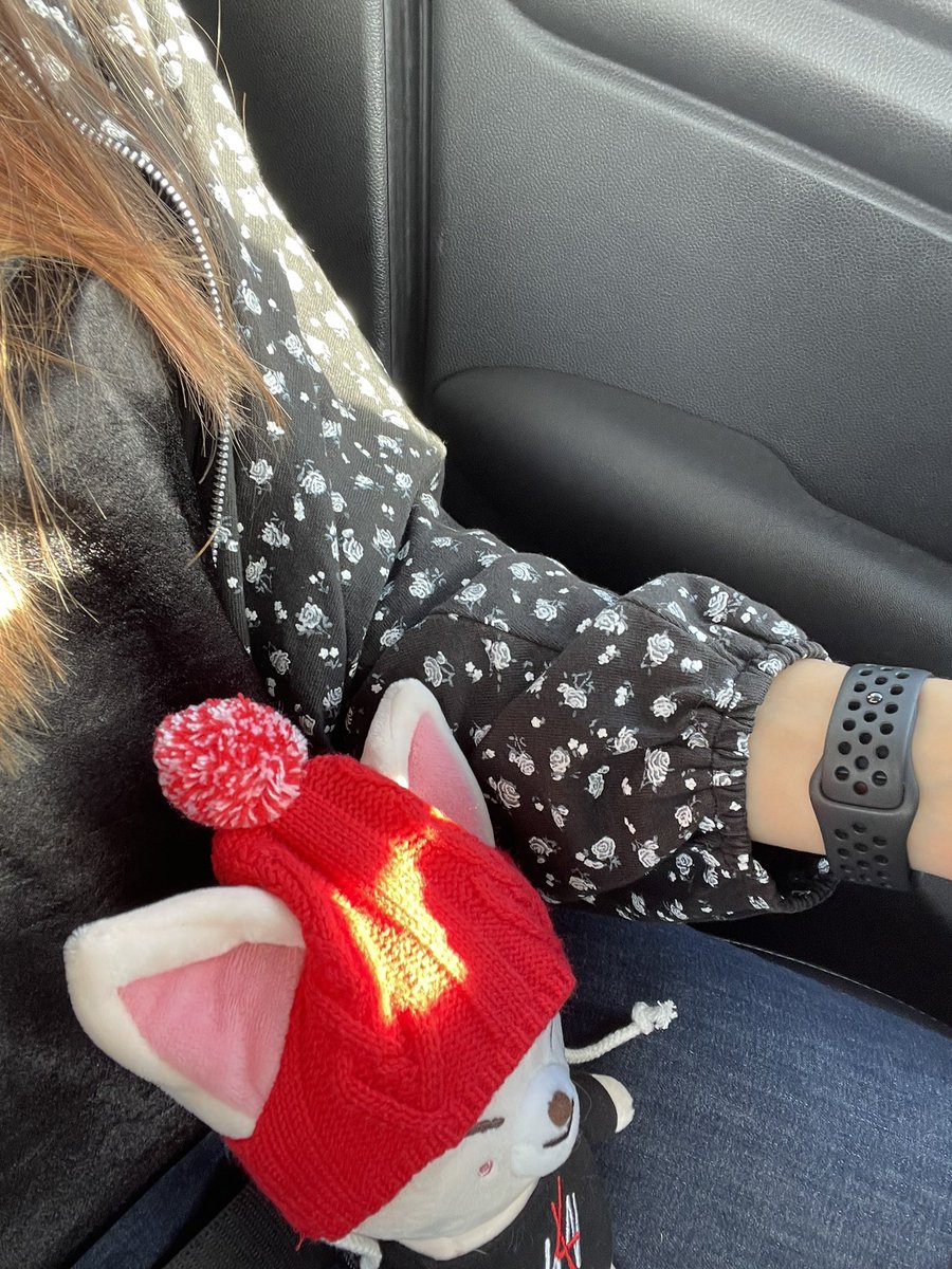 MaknaeCanTop's tweet photo. On my way out of town for a funeral. FoxI.Ny came along for moral support!#StrayKids #SKZ #JeongIn #I_N #YouMakeStrayKidsStay https://t.co/zAO7pQtjoF