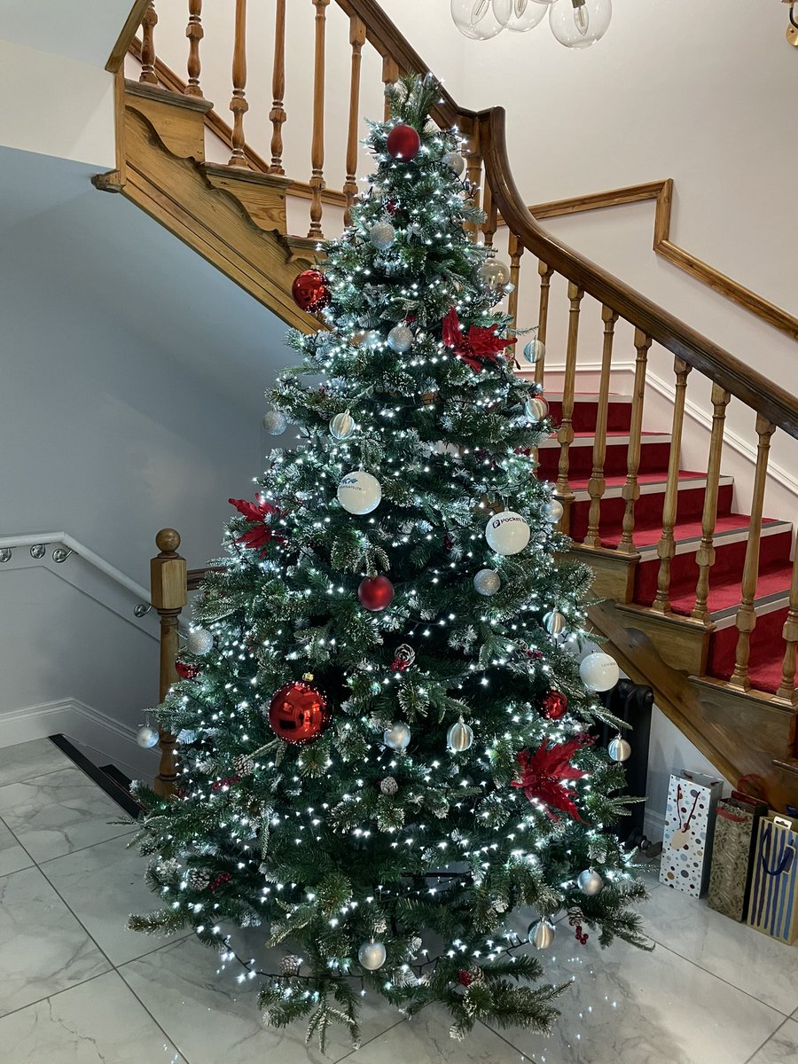 You know it’s the season when the tree goes up!