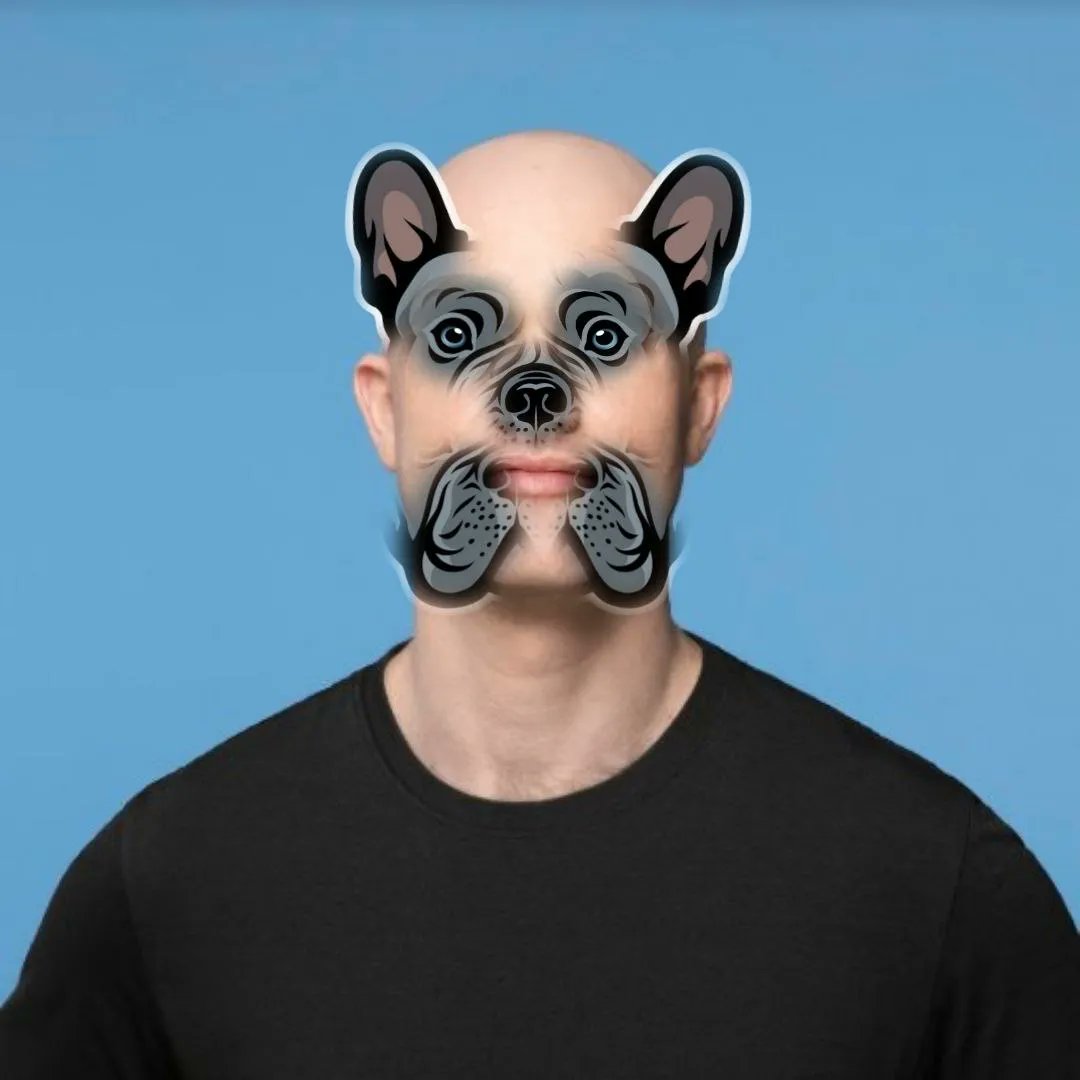 journalboyf's tweet photo. $DeFido is ready. We are not only the only coinbase meme pup. We are also a #DeFiMachine . We are coming home! #differentbreed @brian_armstrong https://t.co/e9fXjHQeHR