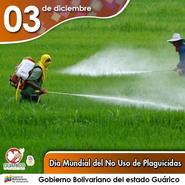 Gob_Guarico's tweet photo. #Efemérides 🗓️ Hoy 03 de diciembre es el día Mundial del No uso de plaguicidas 

#Guárico
#DiscapacidadNoEsExclusión
#NavidadesFelicesEnGuárico https://t.co/5eVEpEvSa4