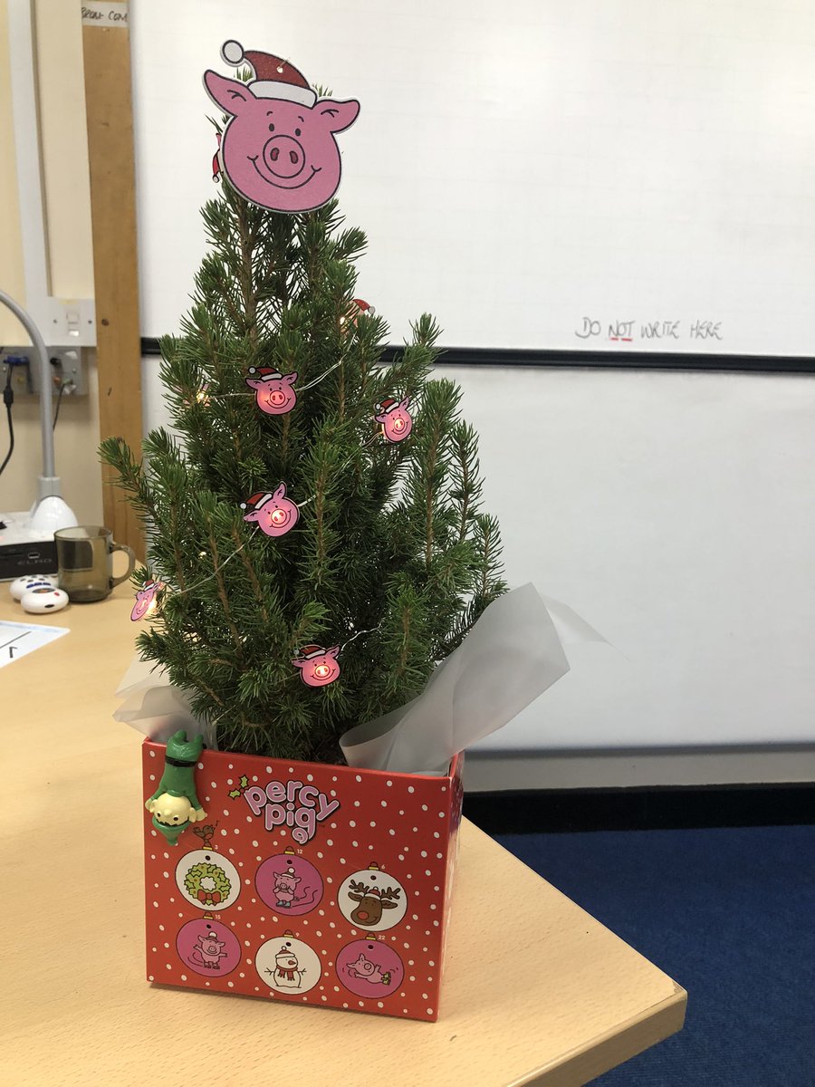 Beccaanstey's tweet photo. Mixed reviews on classroom Christmas tree. “Miss that’s more of a Christmas bush” was a personal highlight #PoorPercy https://t.co/BsfjJGUWwe