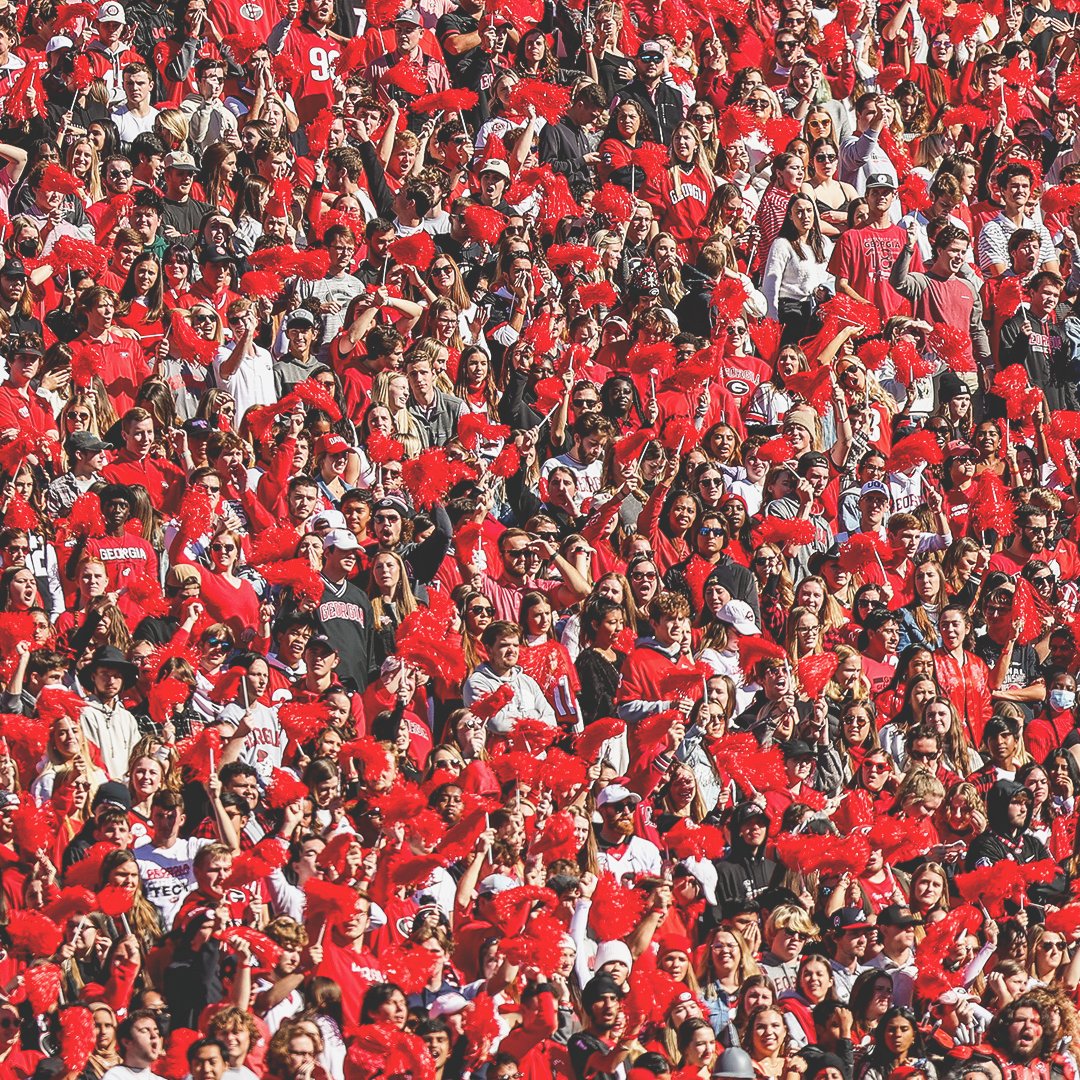 Georgia Bulldogs tweet media