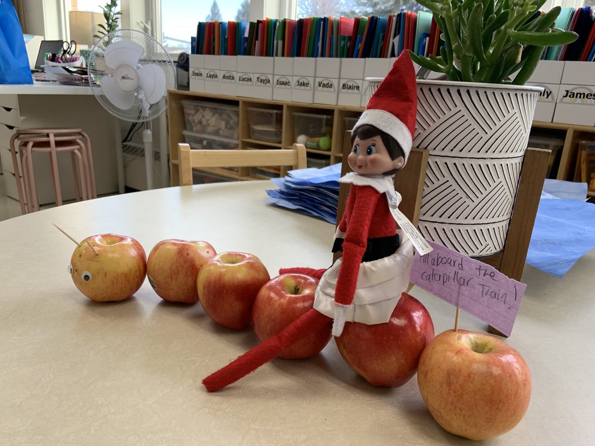 The Elves are out ⁦<a href="/palliserheights/">École Palliser Heights School</a>⁩#ophelia#Brumwell1-2