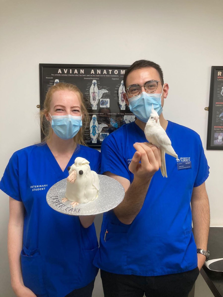 Our students Sophie &amp; Aiden, Casper the cockatiel and their beautiful cake - top effort! #valleyexotics #valleyvets