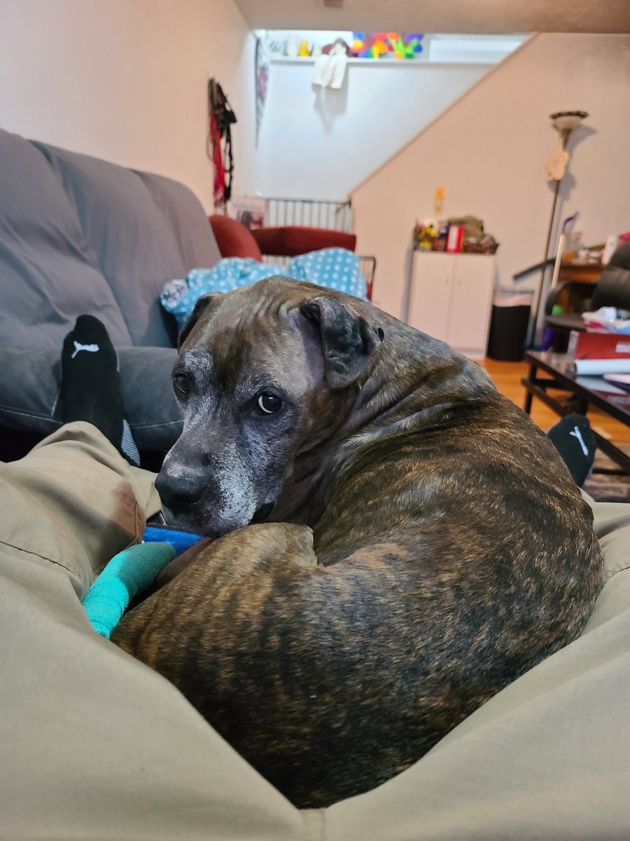 HOSS616_'s tweet image. He is now in the halls of Valhalla! Where the Brave Live Forever!