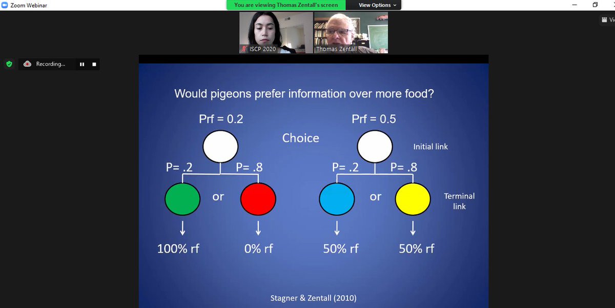 Thank you, Tom Zentall for a great talk about suboptimal/paradoxical behavior. 

Stay tune for next talk in a few minutes!