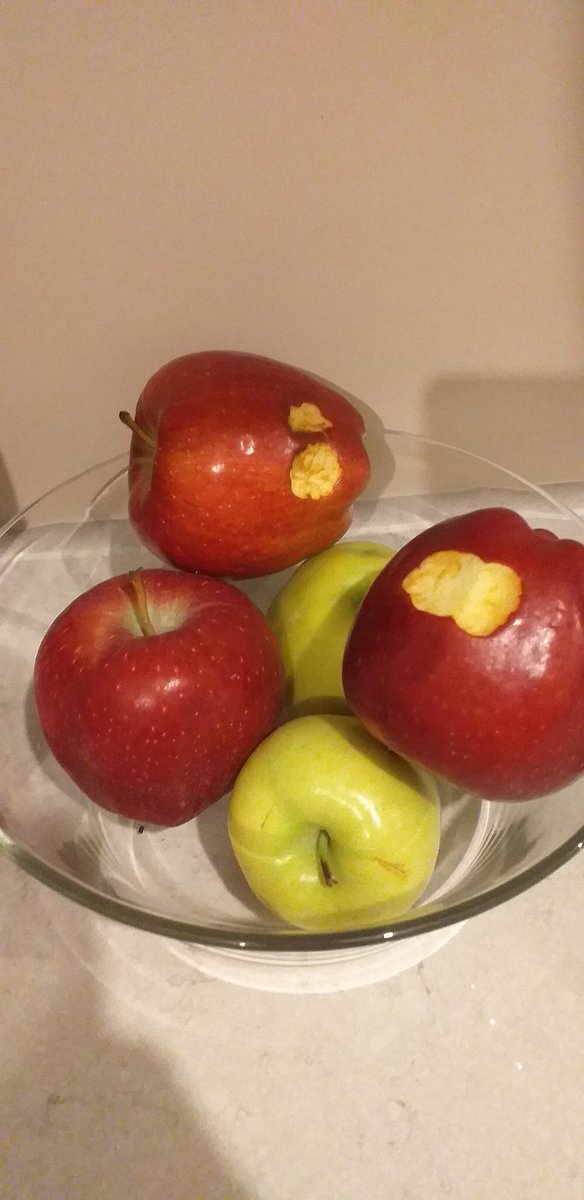 MacaristanBE's tweet photo. Evde küçük çocukları olan herkese sevgi ve sabır ile dolu hafta sonu dilerim. https://t.co/oMocil6CTy