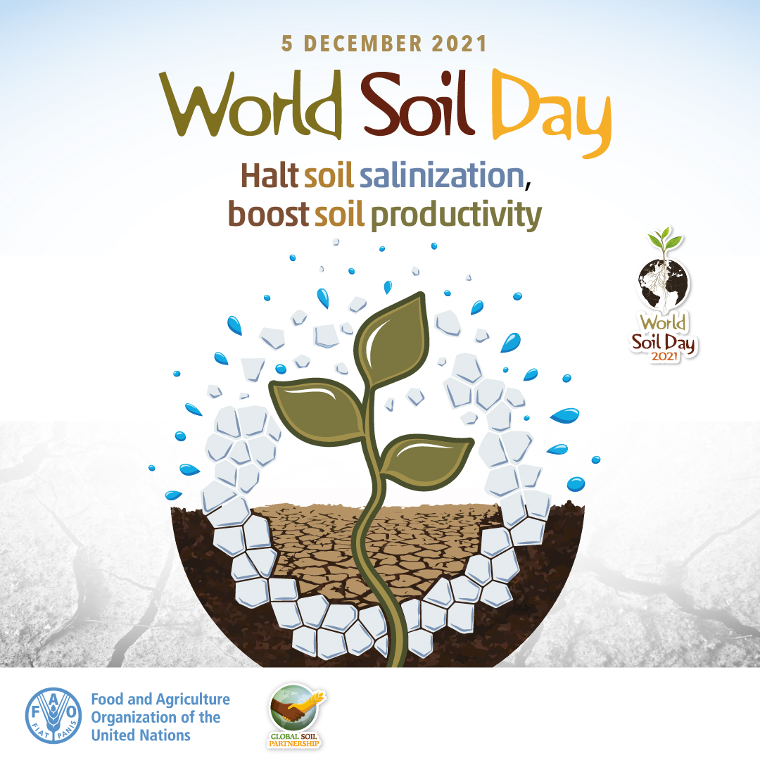 Today is #WorldSoilDay! <a href="/PREMIERProject6/">PREMIER Project</a> will advance towards filling data gaps for the soil pathway and its biodiversity and lead to better protection of this critical resource 👉imi-premier.eu/premier-contri…