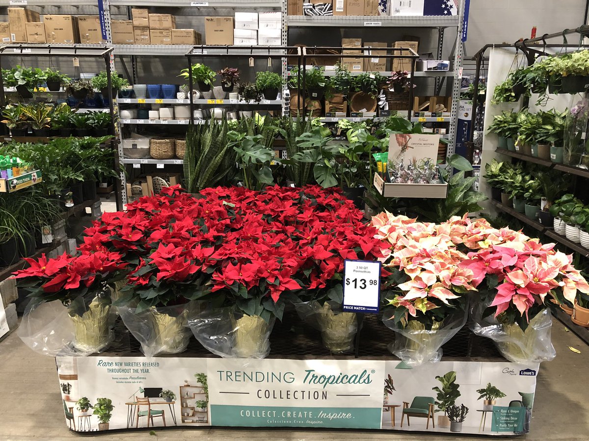 AlanF-Battlefieldfarms tweet media