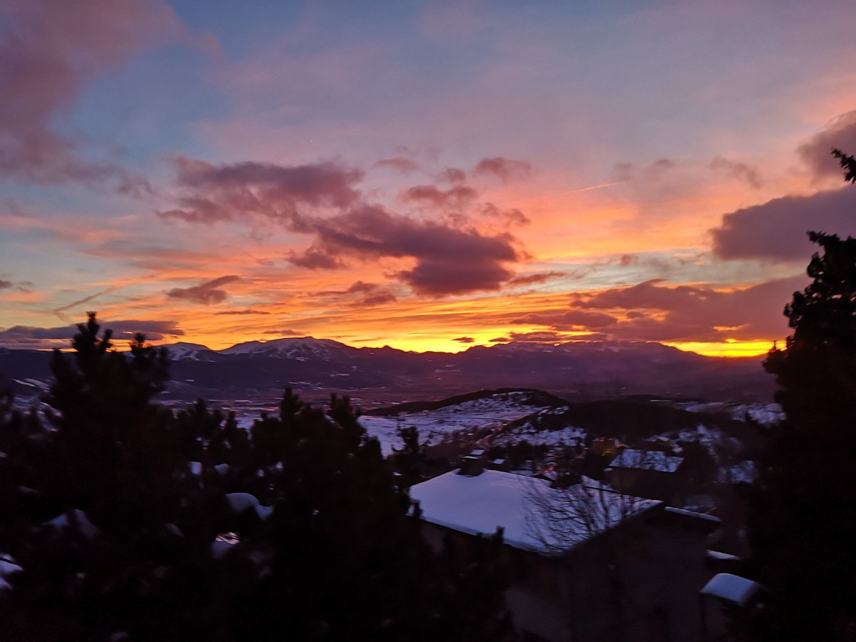 Vincent Thomas tweet media