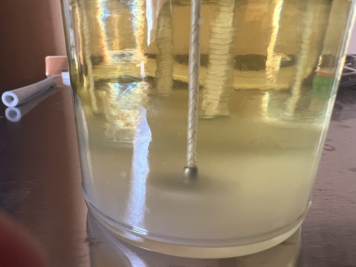 So oddly satisfying to watch wax cure. 😍