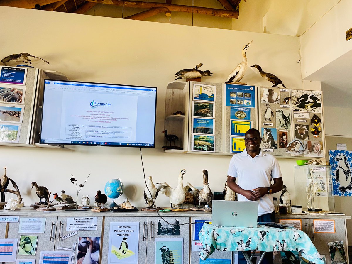 Marine talk on Top Predators in Gqeberha to raise public awareness on the top predators in the Benguela Current Large Marine Ecosystem, their role in the marine ecosystem as well as their conservation status. <a href="/sanccobec/">SANCCOBEC</a> <a href="/environmentza/">Environmentza</a>