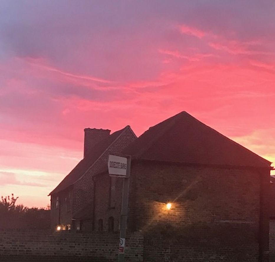 High House Community tweet media