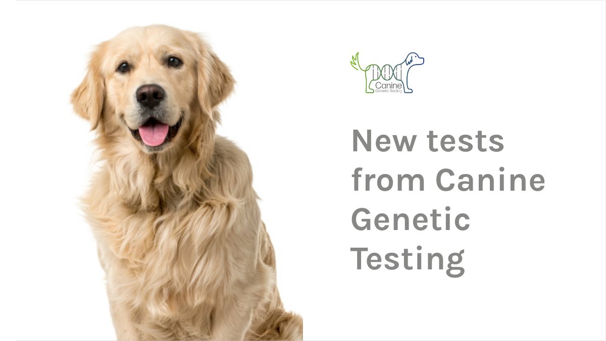 Canine Genetic Testing tweet media