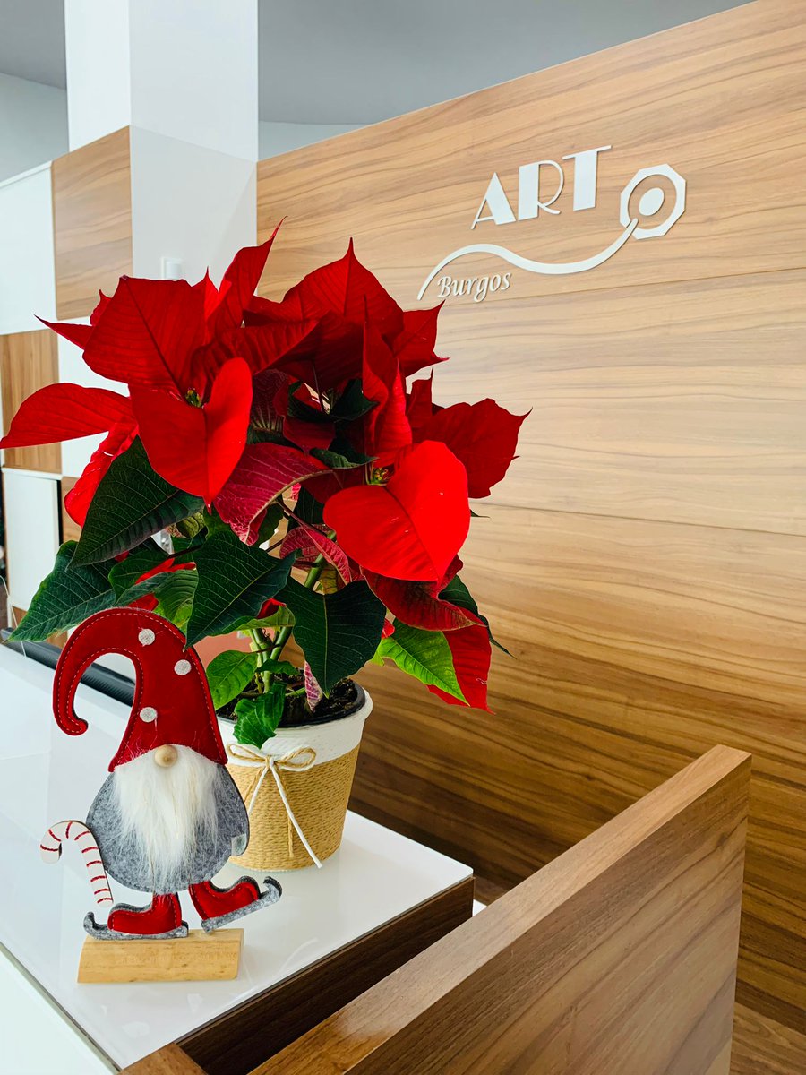 clinicas_art's tweet photo. La Navidad ya está en Clínicas ART. 🎄🎅
¿Qué os parece la decoración de nuestro centro de Burgos?😉
#reproduccionasistida #navidad #navidad2021 #clinicasart #deconavidad #infertilpandy #sermadre #Burgos https://t.co/zUutX1pmcw