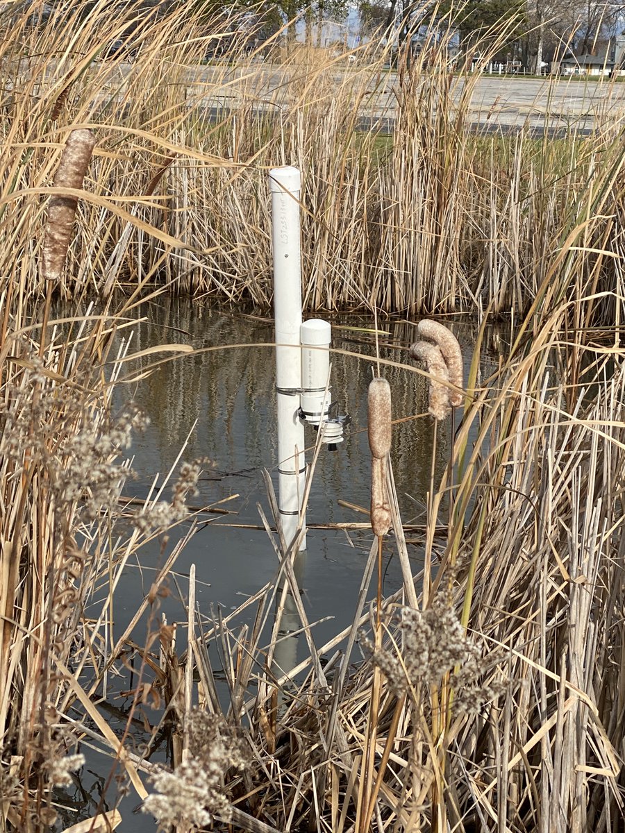 jeffjeff2007's tweet photo. Wetland monitoring sensor installations at Lake St. Clair Metroparks using IoT sensors. Cold yet fulfilling. Shout out to @EddieGreatLakes and folks at @waynestate and Metroparks staff for generous support. @MIMetroparks @helium #IoT https://t.co/dezuvpwPU2